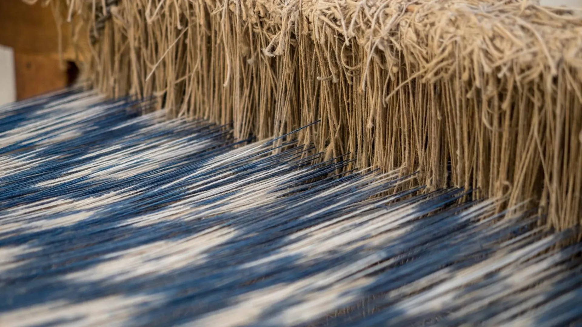 Sarena De Muro Resort Mallorca - New Opening Playa de Muro  5*, Playa de Muro (Mallorca)